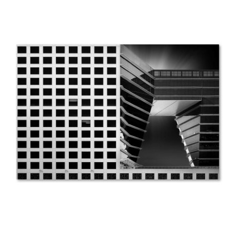 Trademark Fine Art Dr Akira Takaue 'Meta Matrix' Canvas Art, 30x47 1X02979-C3047GG